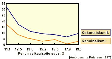  The Forest - Selviytyminen kauhun ja kannibalismin keskellä!